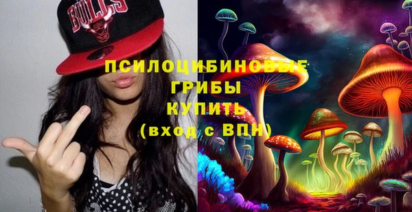 МДПВ Балахна