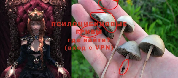 ГАЛЛЮЦИНОГЕННЫЕ ГРИБЫ Баксан