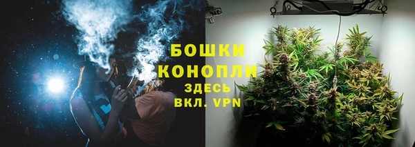 ГАЛЛЮЦИНОГЕННЫЕ ГРИБЫ Баксан
